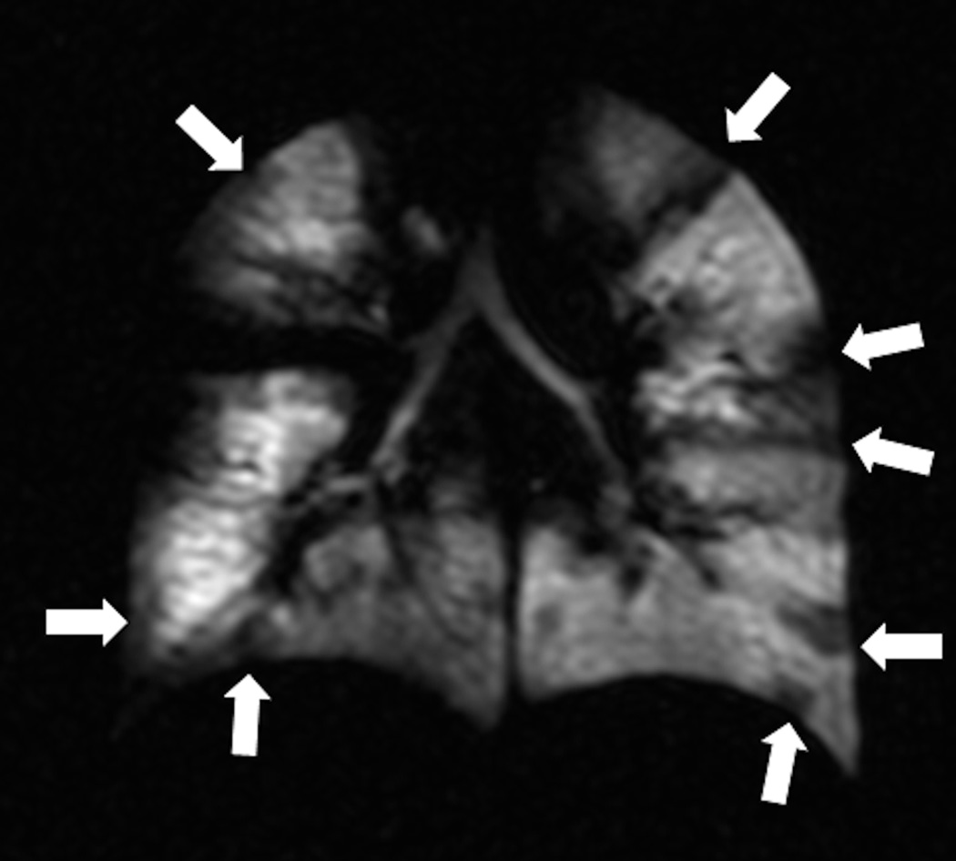 Fig. 9