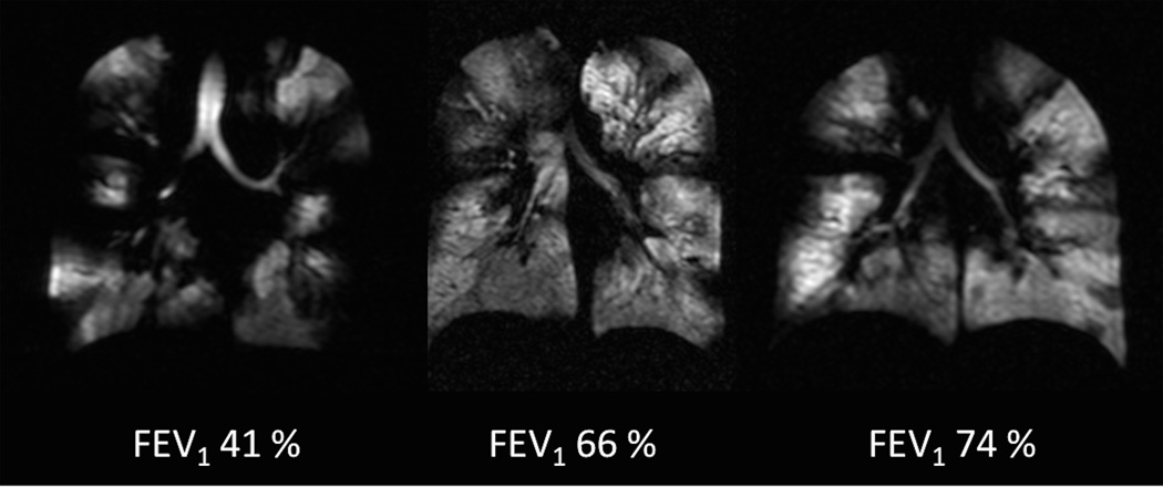 Fig. 8