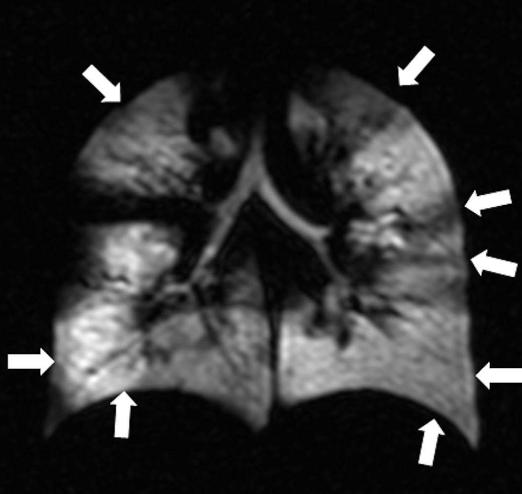 Fig. 9