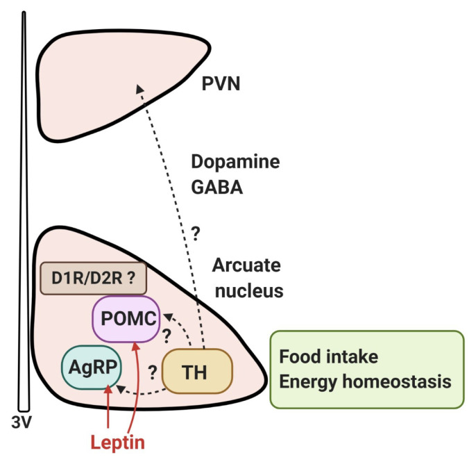 Fig. 2