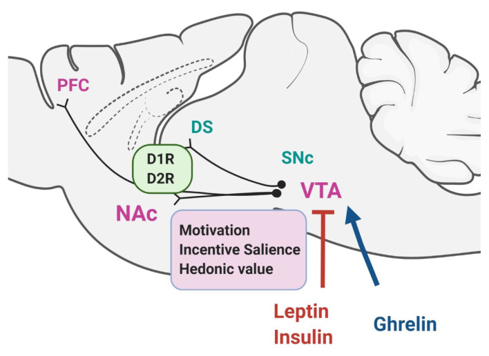 Fig. 1