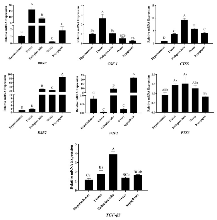 Figure 7