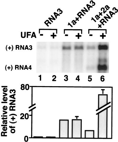 FIG. 6