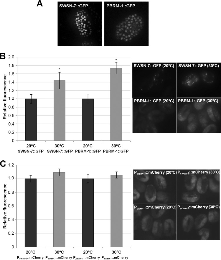 FIG 6