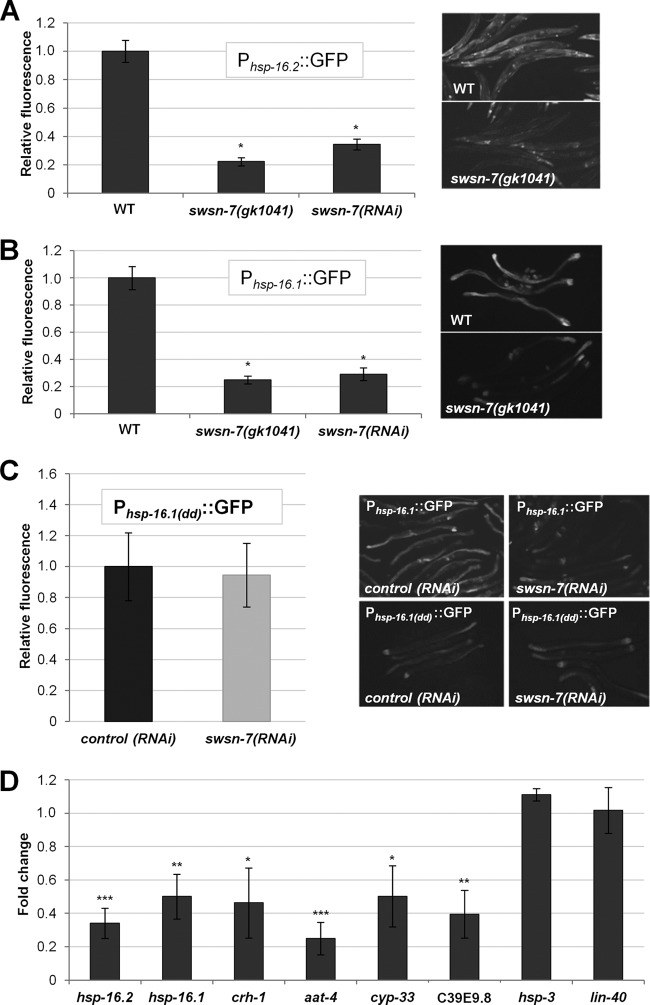 FIG 3