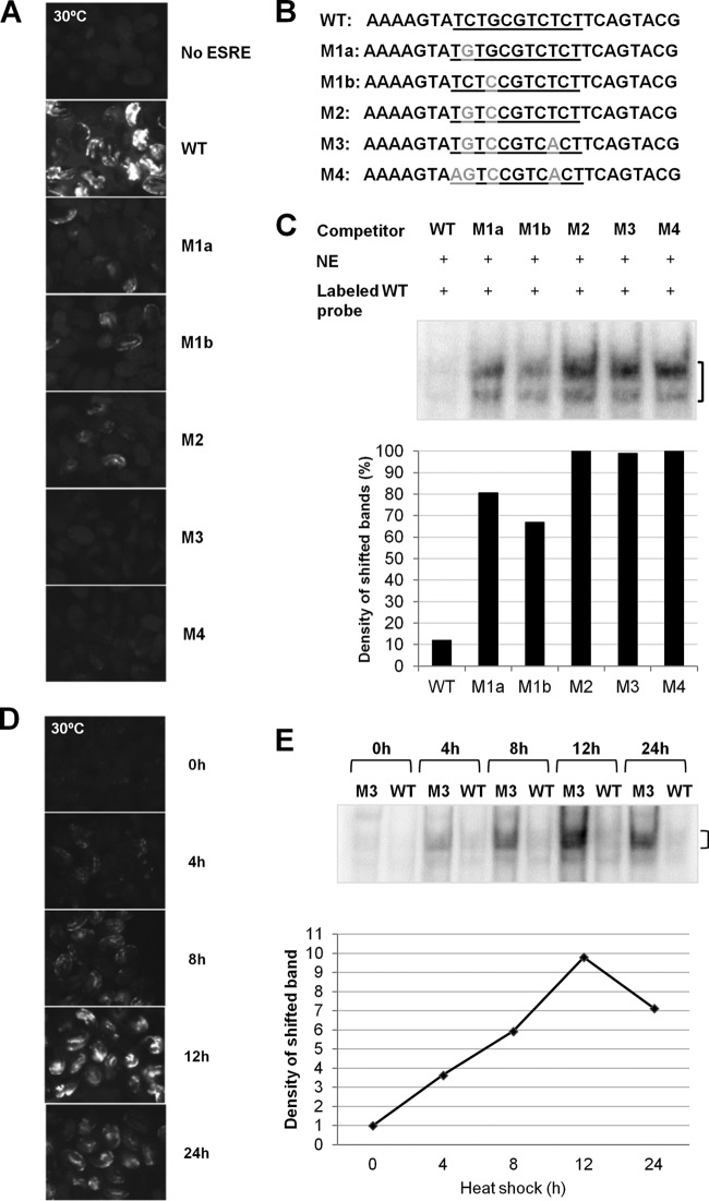 FIG 1