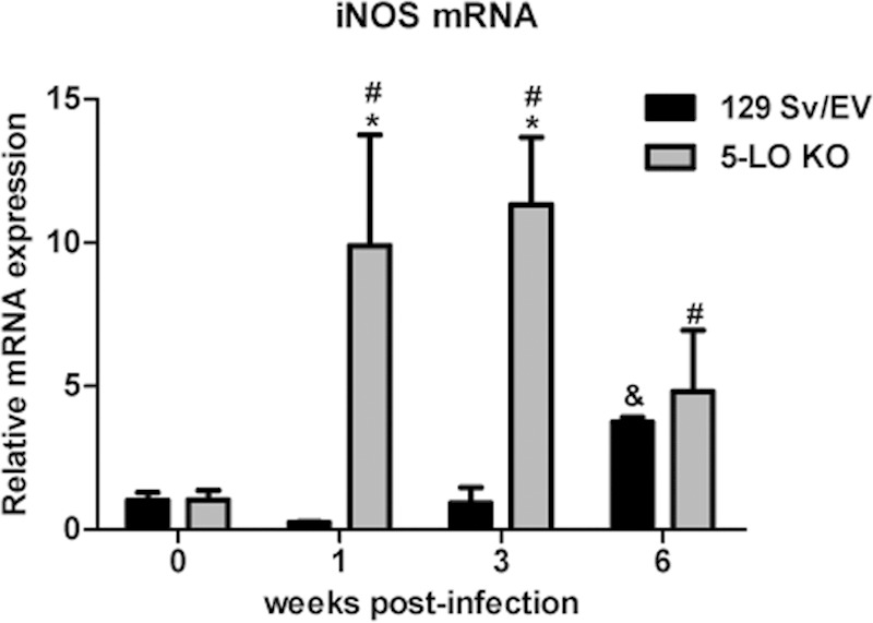 FIG 4