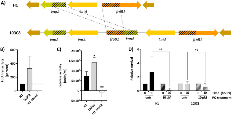 FIG 2