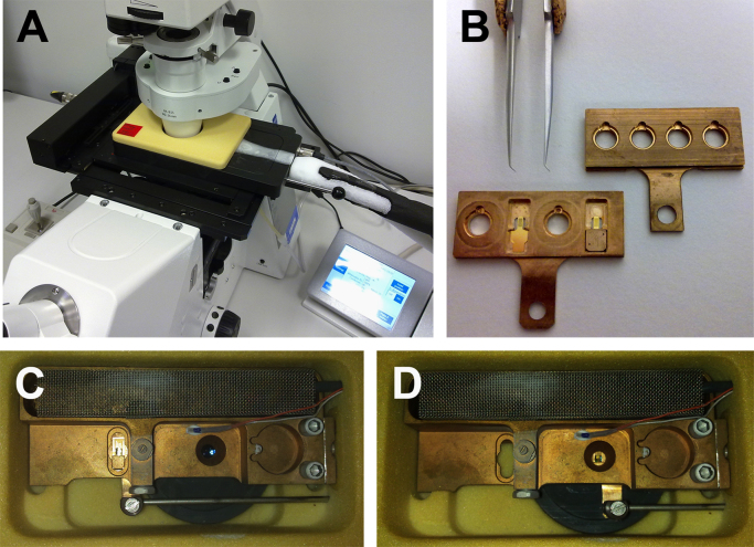 Fig. 2