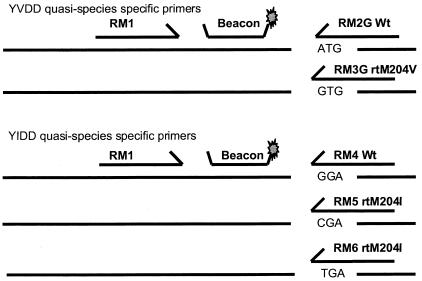 FIG. 1.