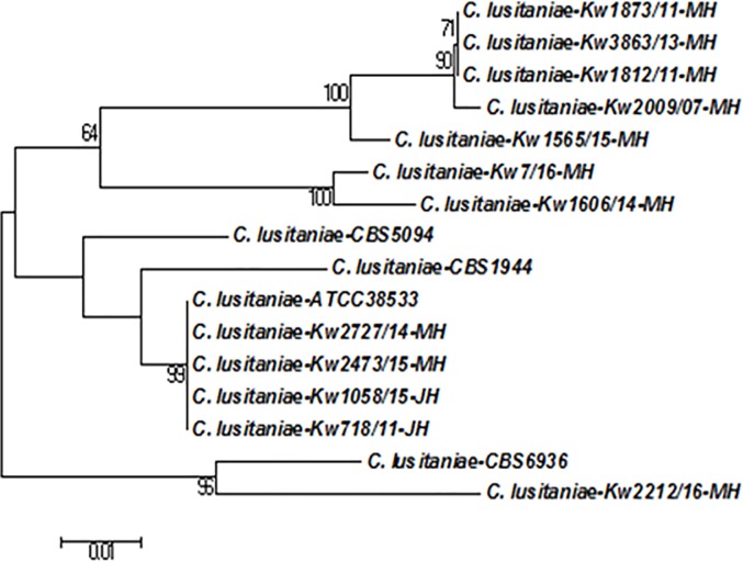 Fig 1