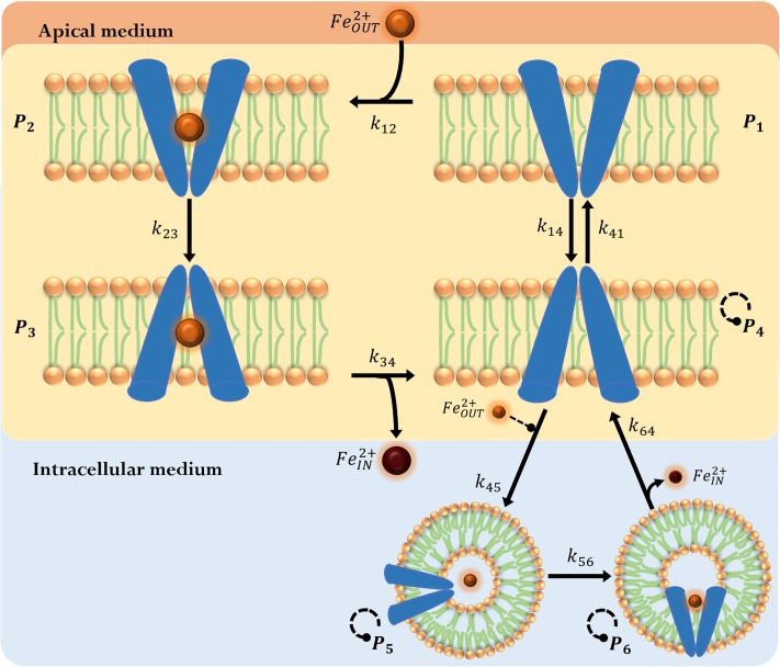 Fig 4