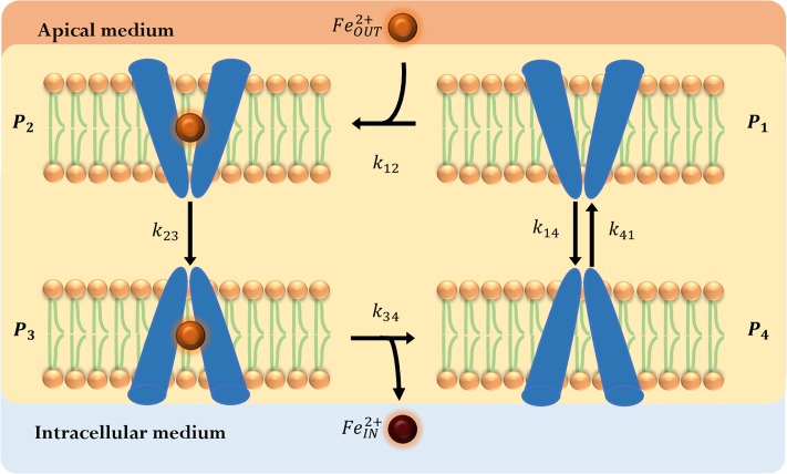 Fig 2