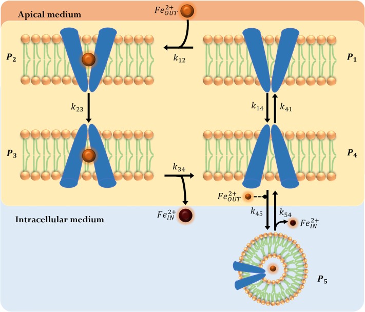 Fig 3