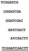 FIG. 5