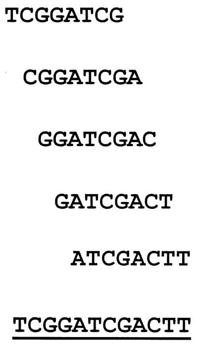 FIG. 5