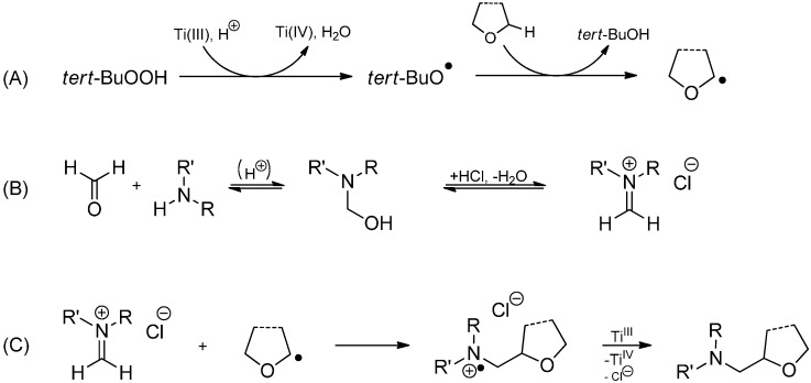 Scheme 25