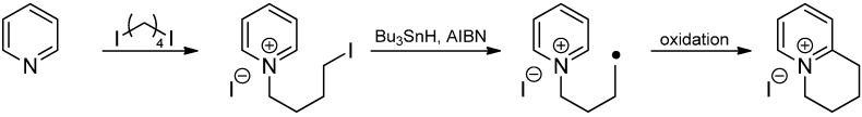 Scheme 13