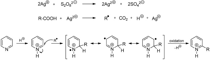 Scheme 2