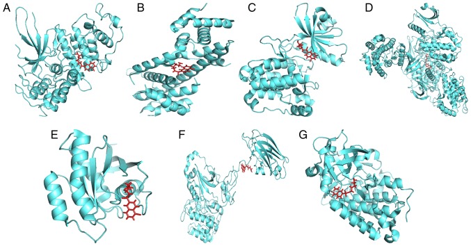 Figure 11.