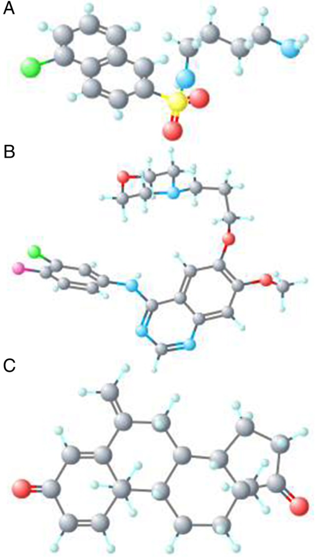 Figure 10.