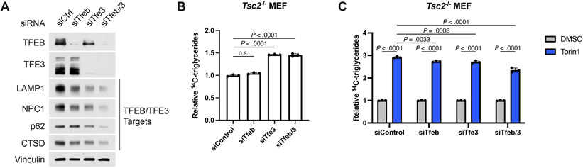 Extended Data Fig. 8