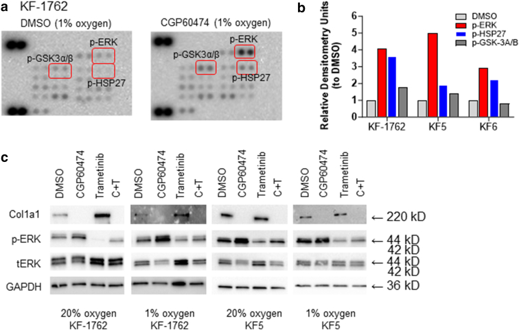 Figure 7