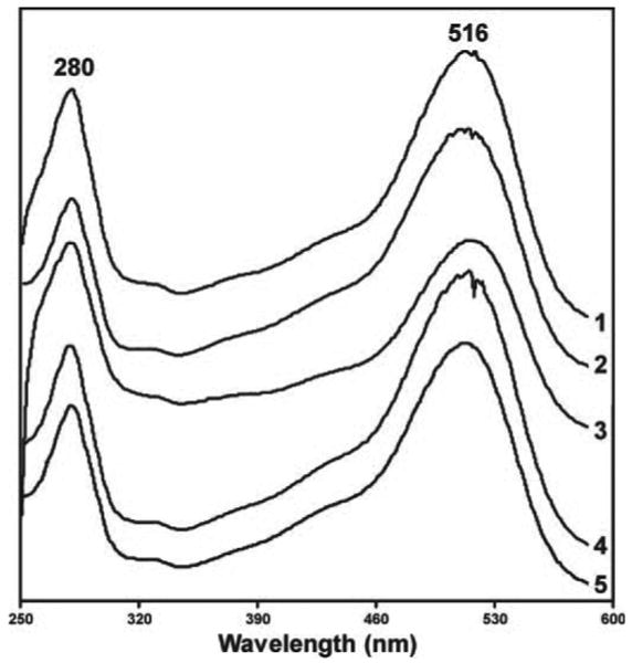 Fig. 6