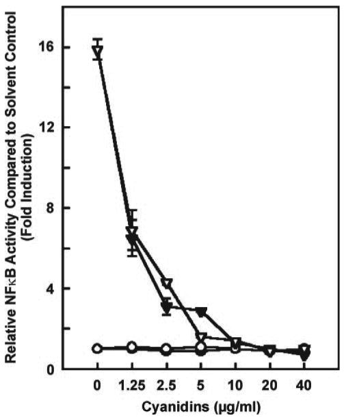 Fig. 8