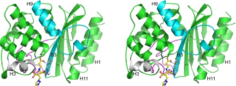 FIGURE 4.