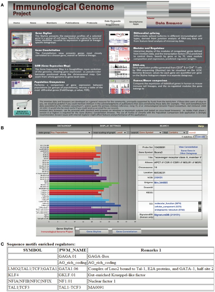 Figure 6