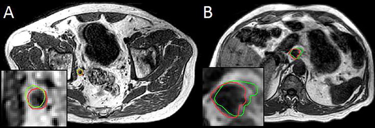 Fig. 5