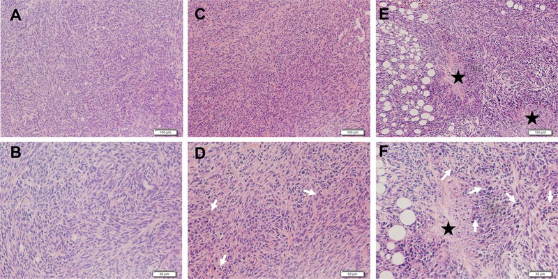 Fig.7.