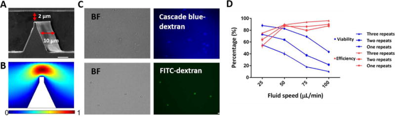 Fig. 2