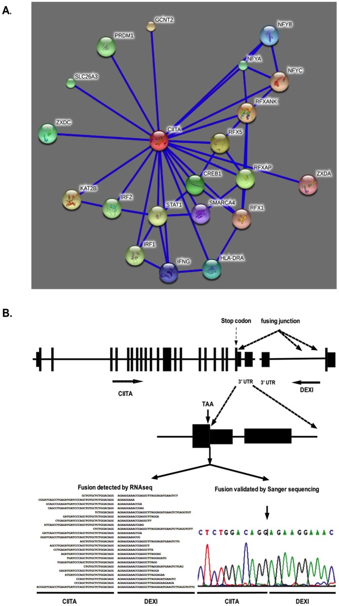 Figure 6