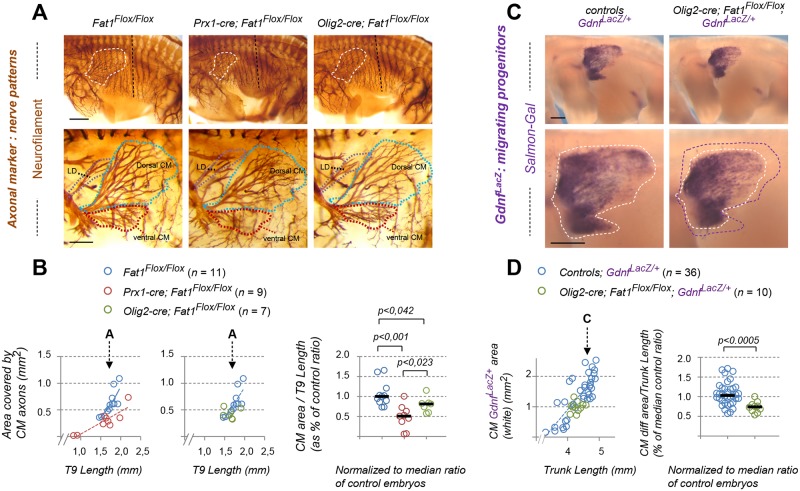 Fig 10