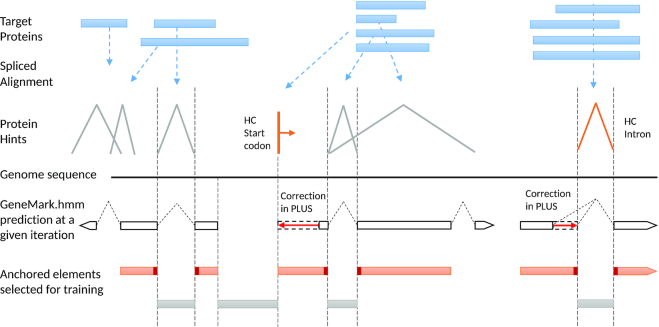 Figure 3.