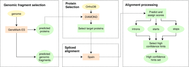 Figure 2.