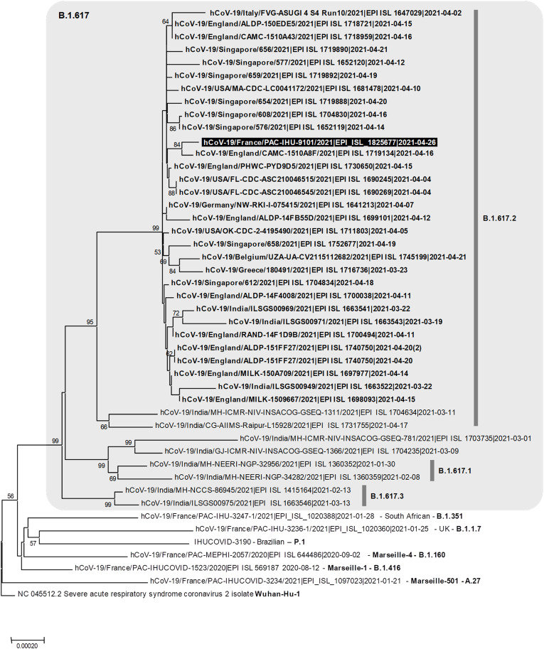 Fig. 1