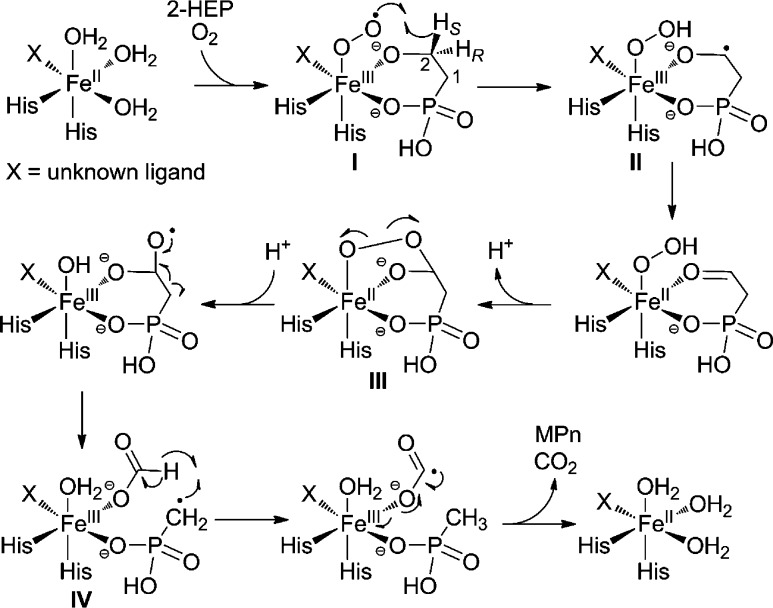 Scheme 2