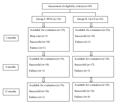 [Table/Fig-1]: