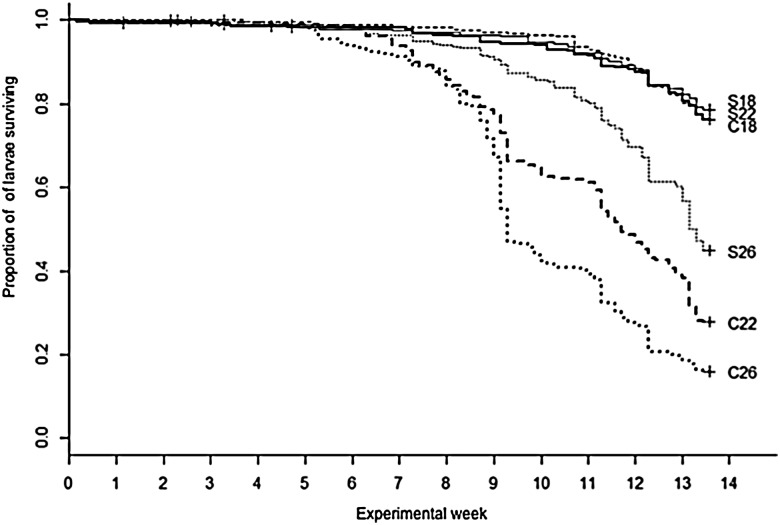 Figure 1: