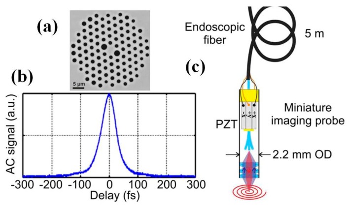 Figure 17