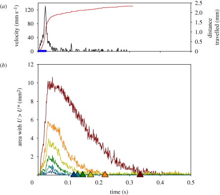 Figure 3.