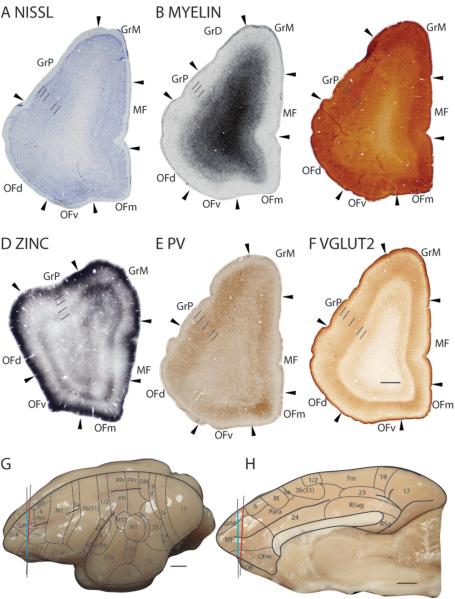 Figure 24