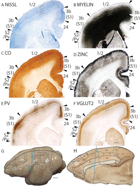 Figure 19