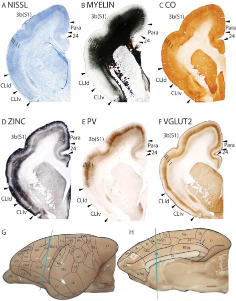 Figure 16