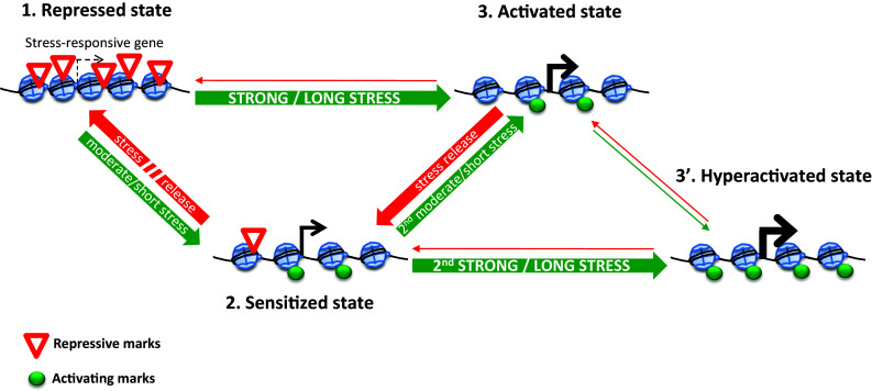 Fig. 2