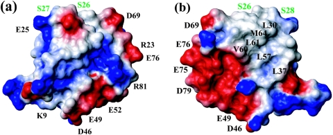 FIG. 5.