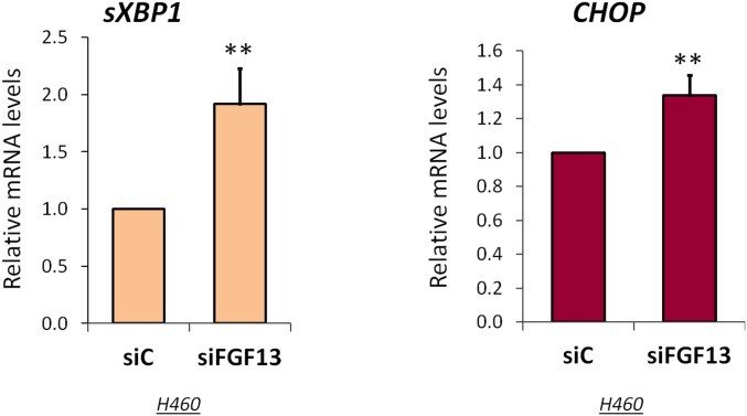 Fig. S4.